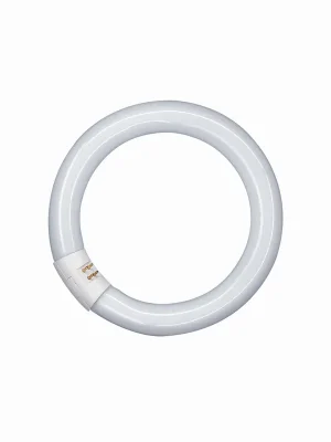 OSRAM Trubice 22W/840 LC LUMILUX kruh T9 Aktuální
